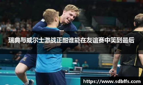 瑞典与威尔士激战正酣谁能在友谊赛中笑到最后